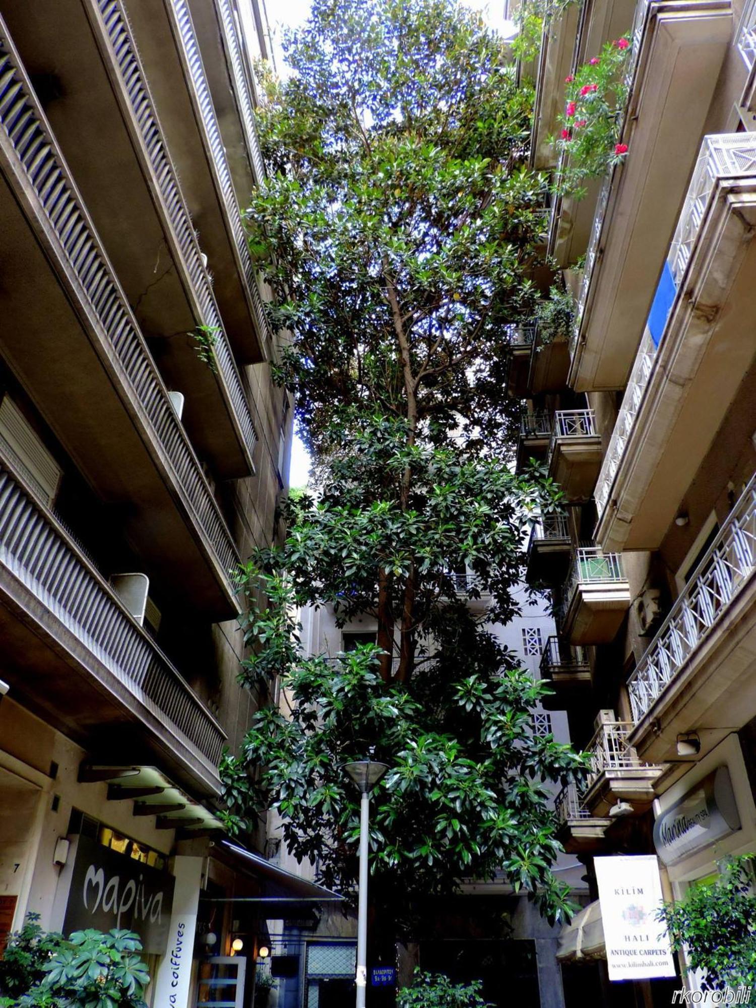 Stay At Premium Syntagma Location - Experience 1 Афины Экстерьер фото